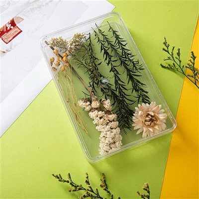 150g Plastic Box For Food Packaging